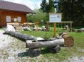 Bildergebnis für bad mitterndorf barfußpark